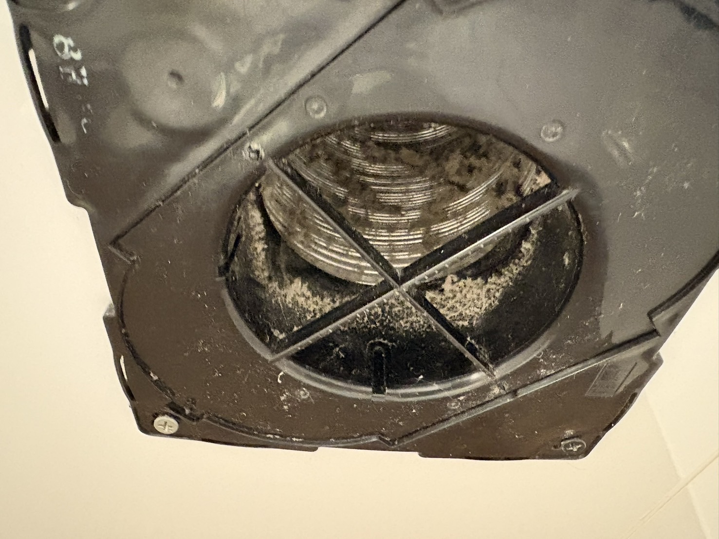 清掃前の換気扇。ほこりが詰まっている